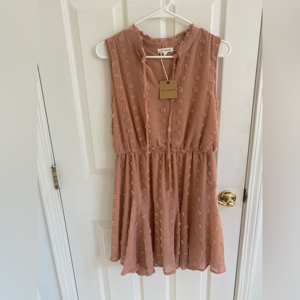 Swiss dot vici dress